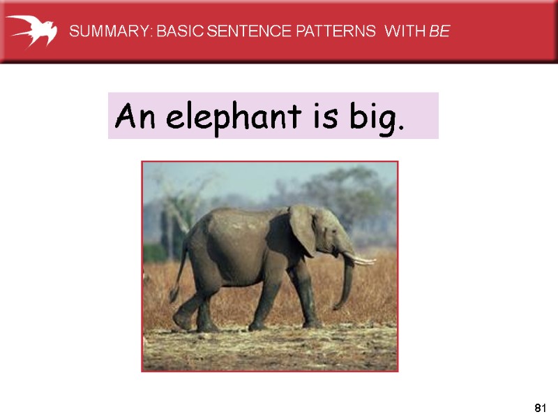 81 An elephant is big. SUMMARY: BASIC SENTENCE PATTERNS  WITH BE
